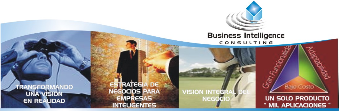 Business Intelligence Consultin Business Intelligence Consulting